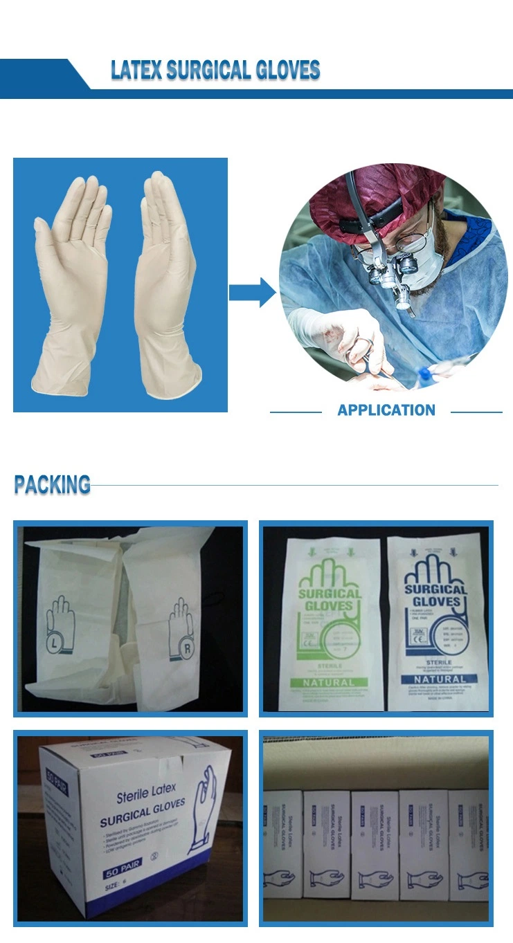 Hot Sale Low Price Sterile Disposable Latex Surgical Gloves